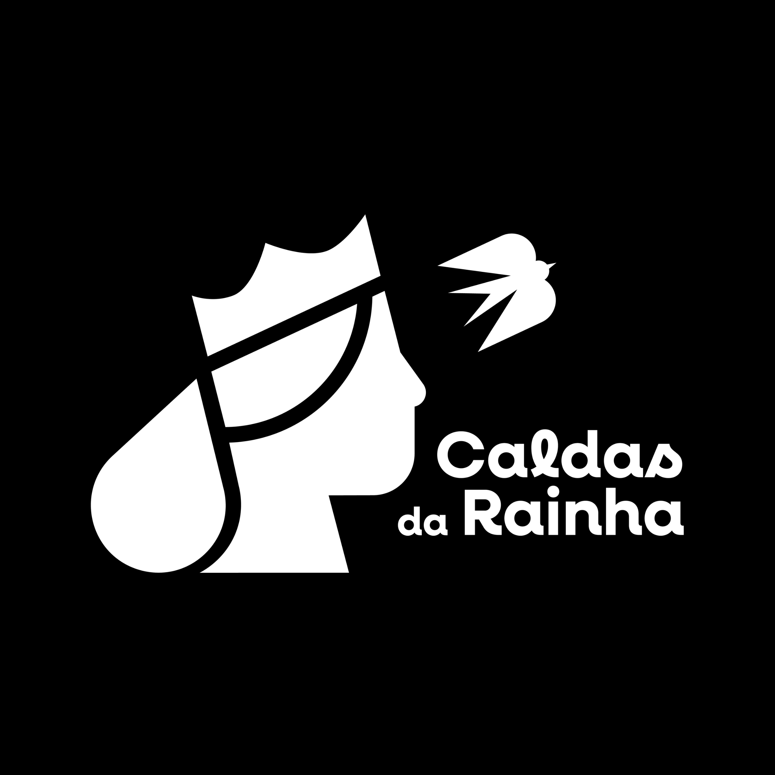 CÂMARA MUNICIPAL DE CALDAS DA RAINHA